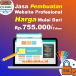 Jasa Pembuatan Website Murah Webindeks Solusinya
